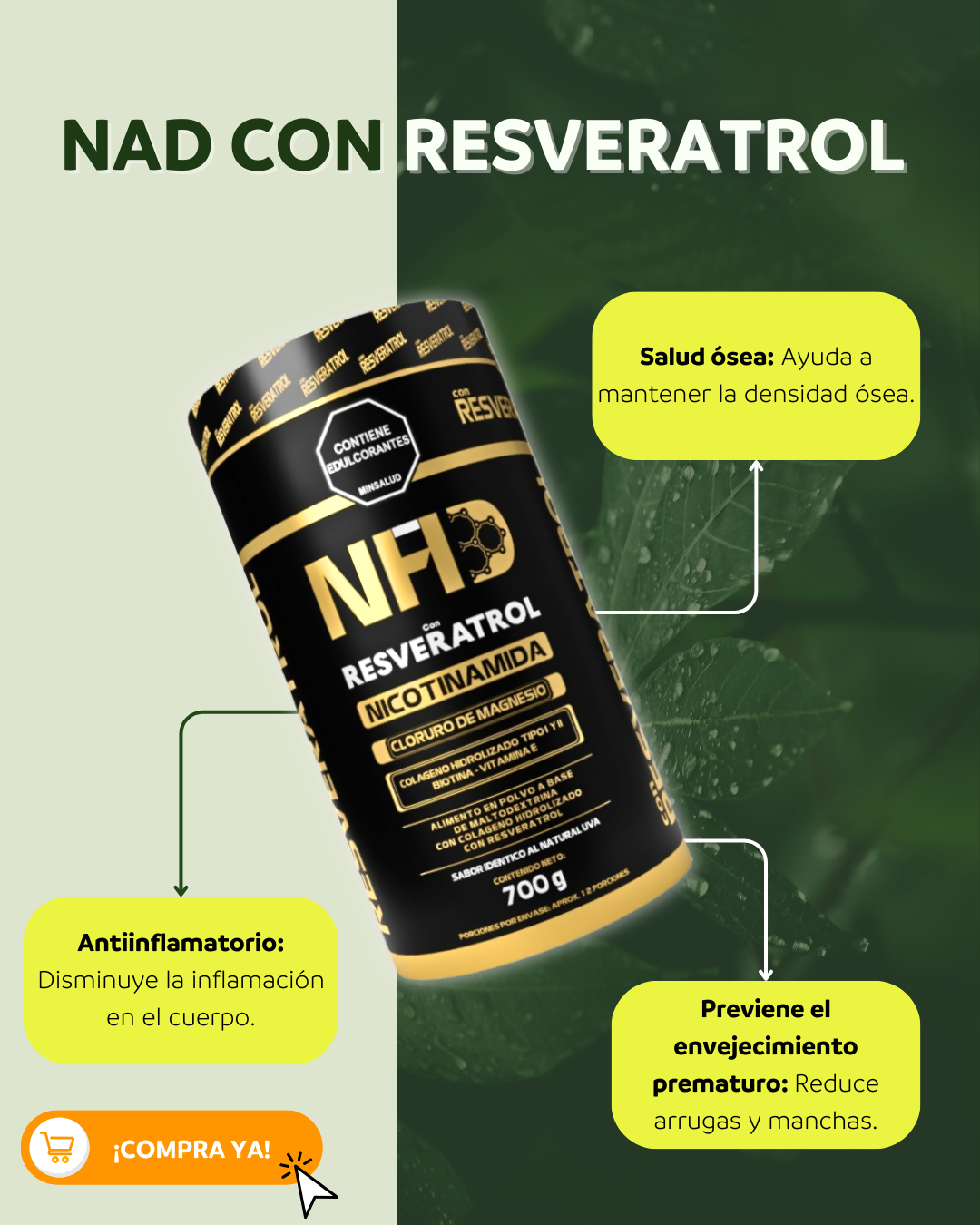 NAD+ Resveratrol polvo con INVIMA